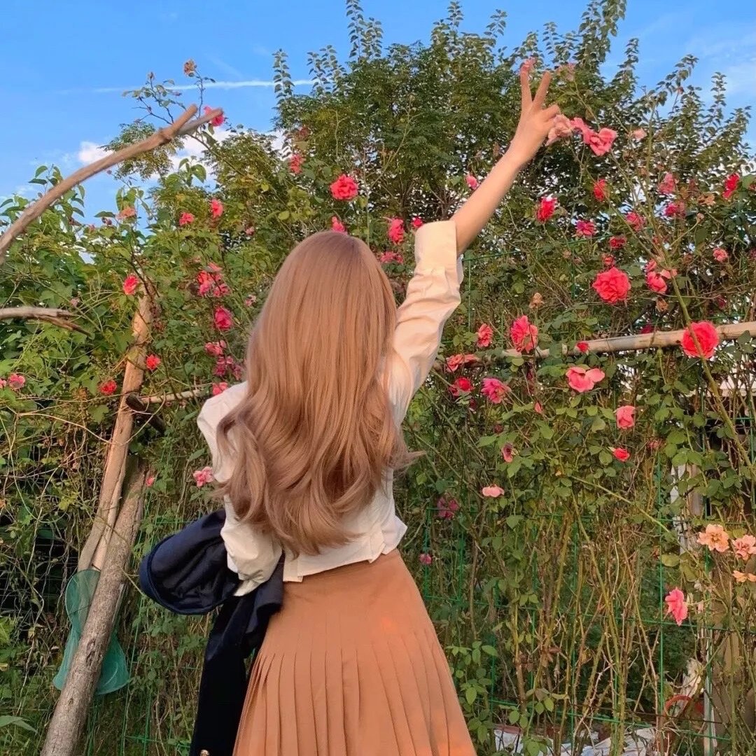 菊石